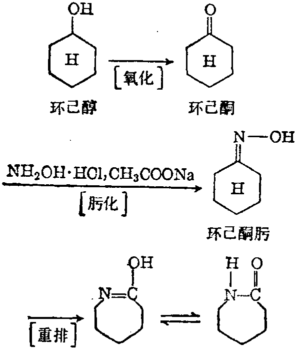 内酰胺结构式图片